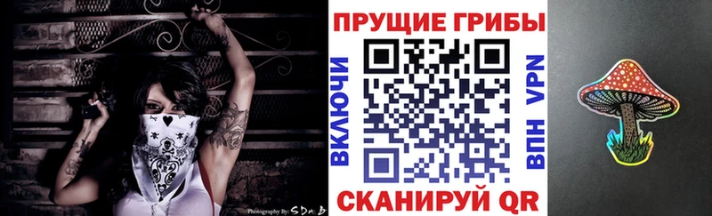Псилоцибиновые грибы Magic Shrooms цена наркотик Истра